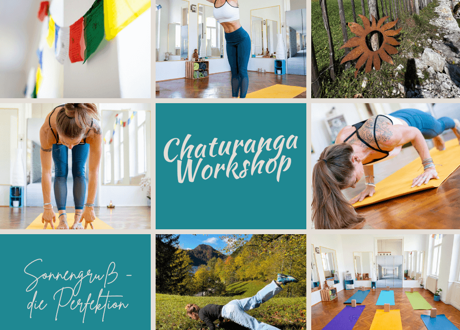 Chaturanga Workshop am 22.11.
