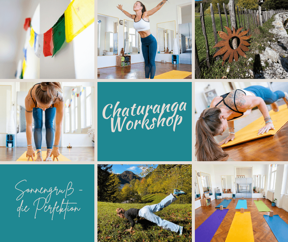 Chaturanga Workshop 1