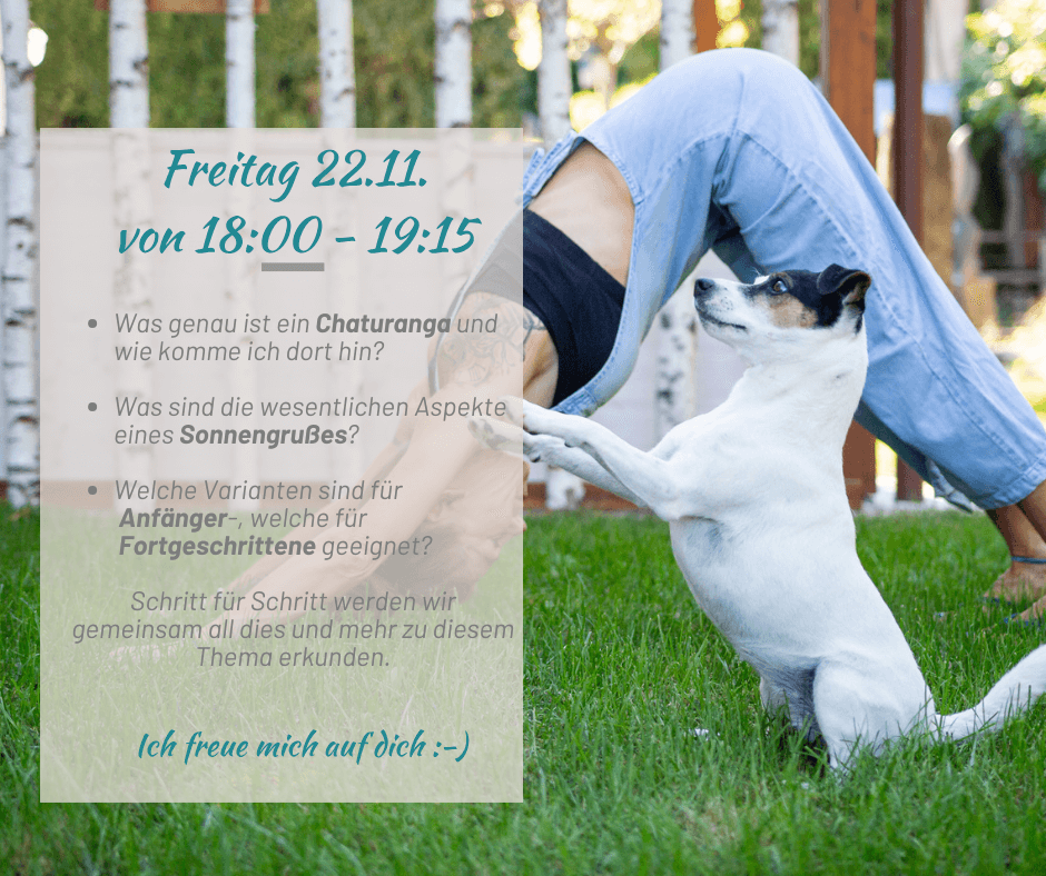 Chaturanga Workshop 2